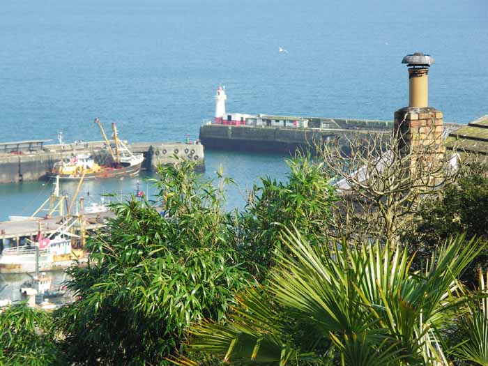 [Newlyn - from Bay View Terrace]