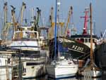 [Newlyn Harbour, with Fishing Boat PZ 203]